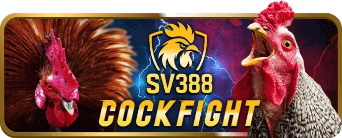 Bảo mật 333vin win